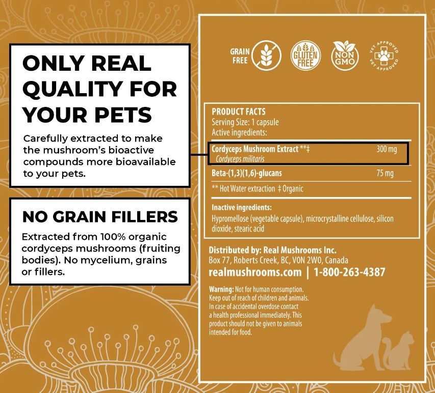 Real Mushrooms Organic Cordyceps Extract Capsules for Pets | 120 Count