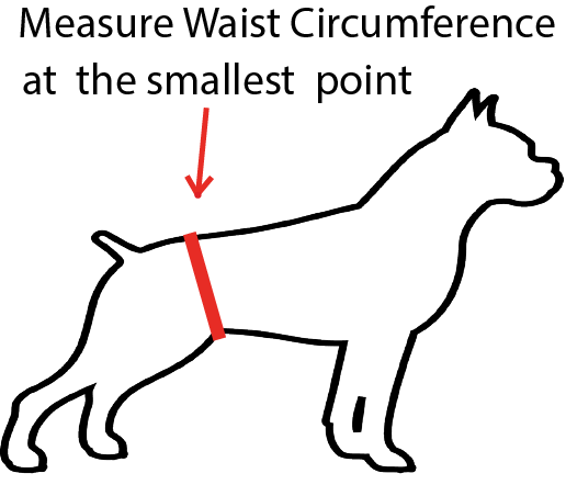 Male Diaper Wraps for Dogs (3 pack)