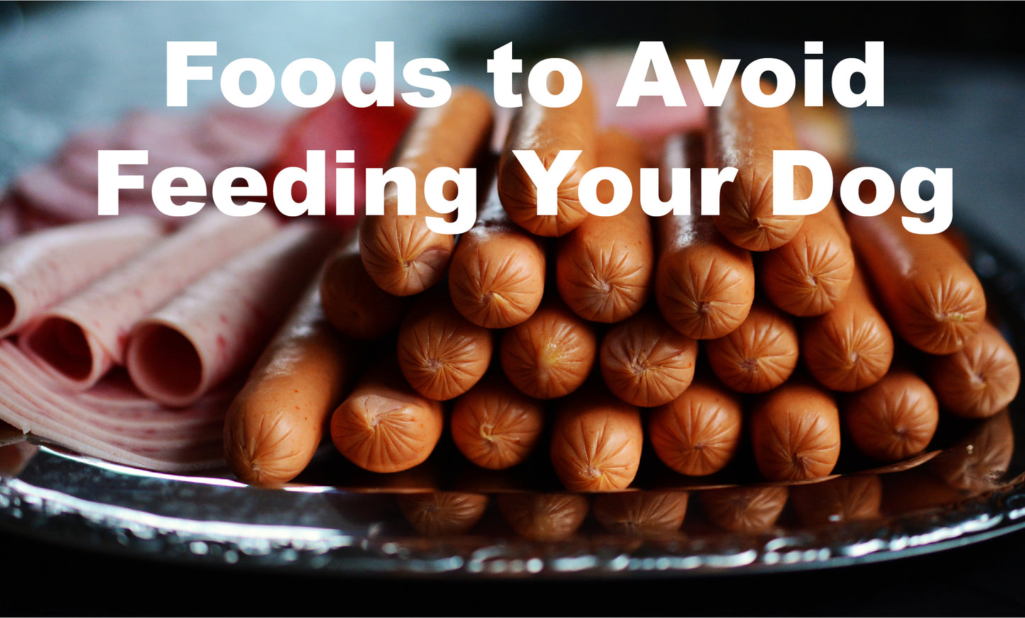 Foods to Avoid Feeding Your Dog