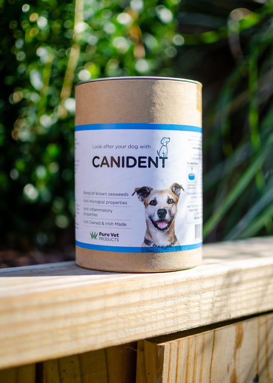 Canident | Oral Hygiene