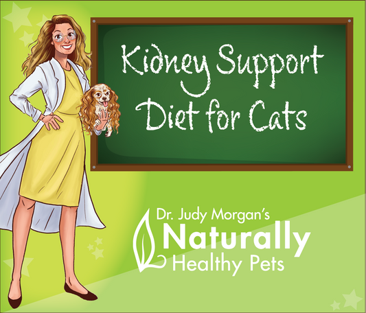 Kidney Support Diet for Cats