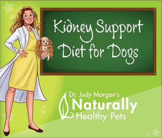 Kidney Support Diet for Dogs