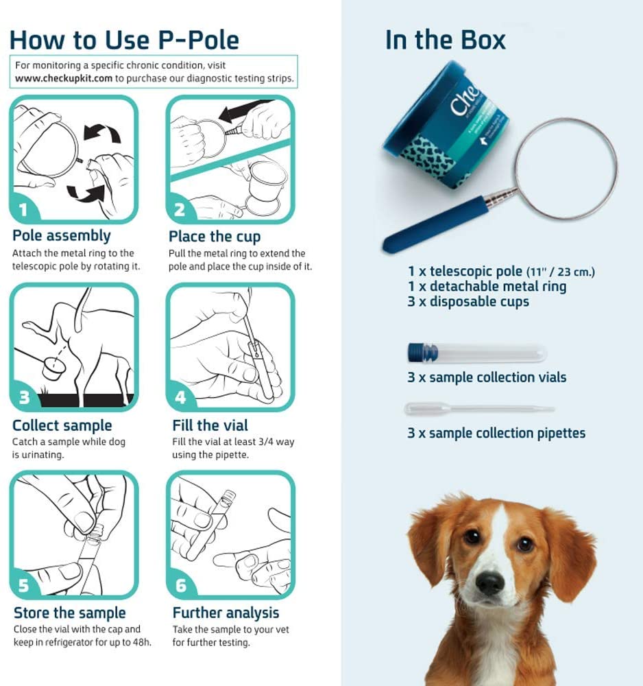 CheckUp | P-Pole Urine Collection Kit for Dogs