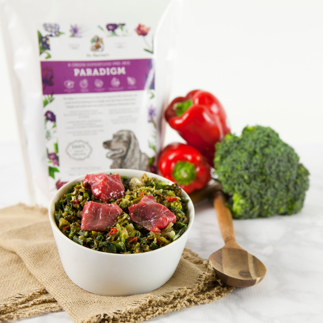 Dog Food & Base Mixes Dr. Judy Naturally Healthy Pets