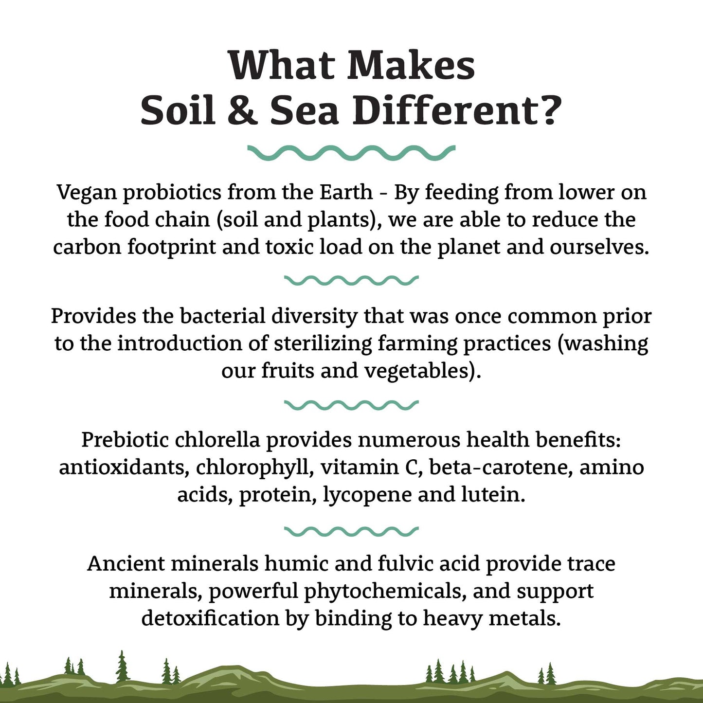 Roots | Soil & Sea - Primordial Pre & Probiotics