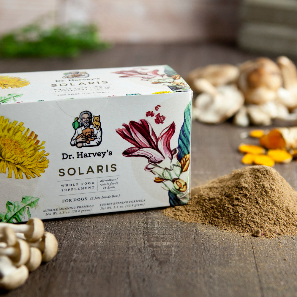 Dr. Harvey's | Solaris Mushroom & Herbal Supplement