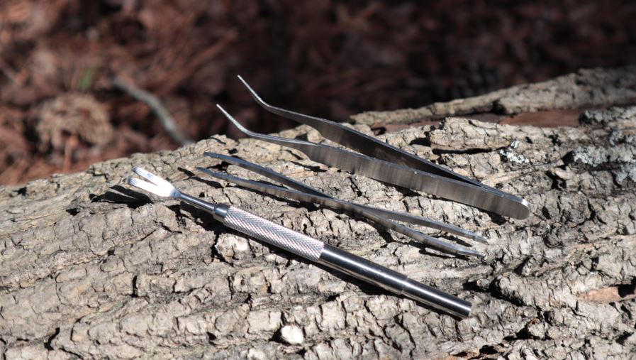 Tick Removal Set
